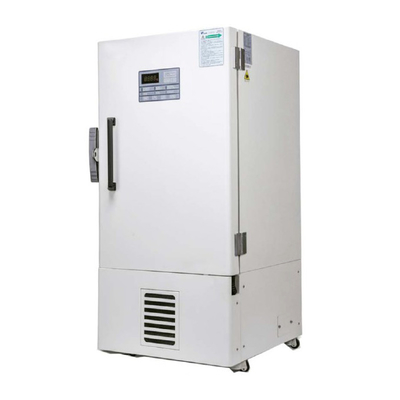 AC240V 60Hz Ultra Low Temperature Freezer Vertical Minus 40 Vaccine Fridge