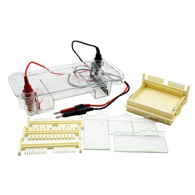 Nucleic Acid Vertical Horizontal Gel Electrophoresis Apparatus 245×250mm